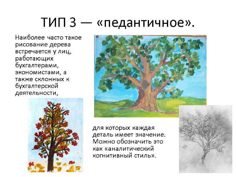 ТИП 3 — «педантичное».  Наиболее часто такое рисование дерева встречается у лиц, работающих